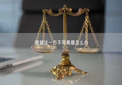 开庭前被告可以看到原告证据吗