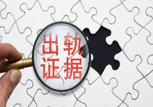 合肥侦探取证：法院认定转移财产的证据···
